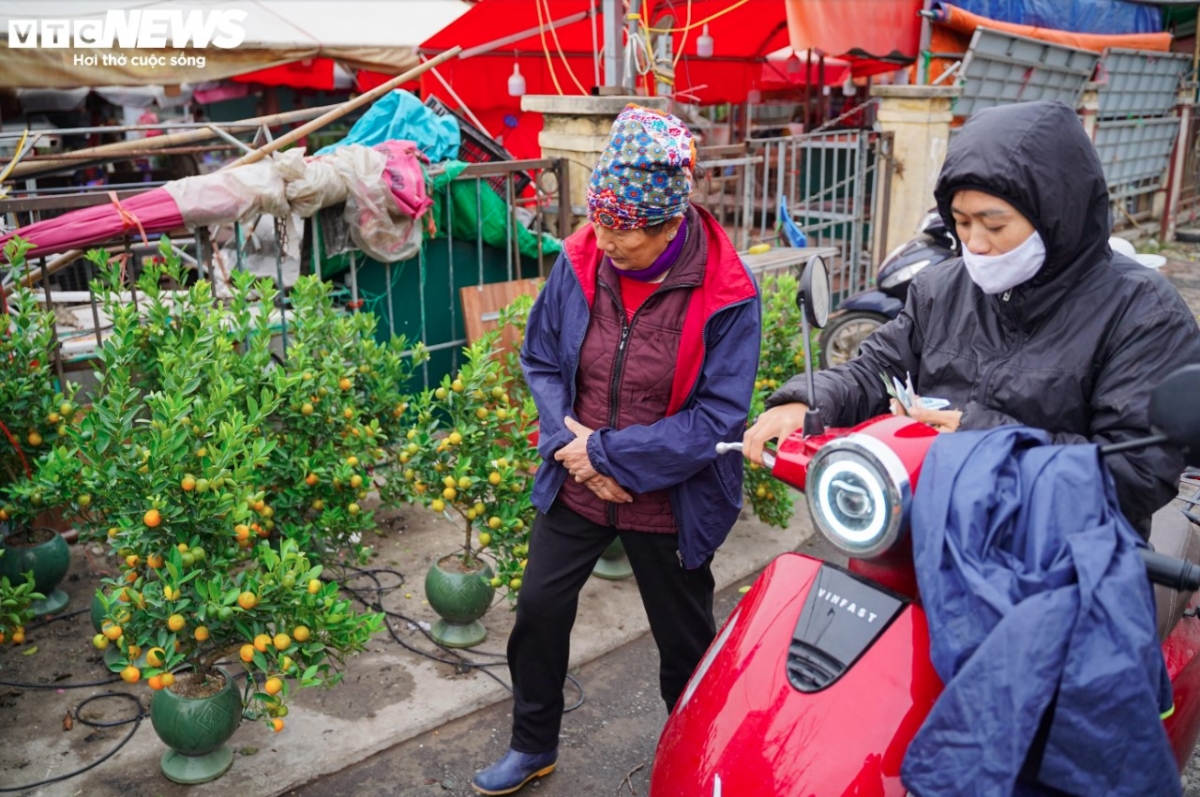 colourful blossoms signal first signs of lunar new year in hanoi picture 11