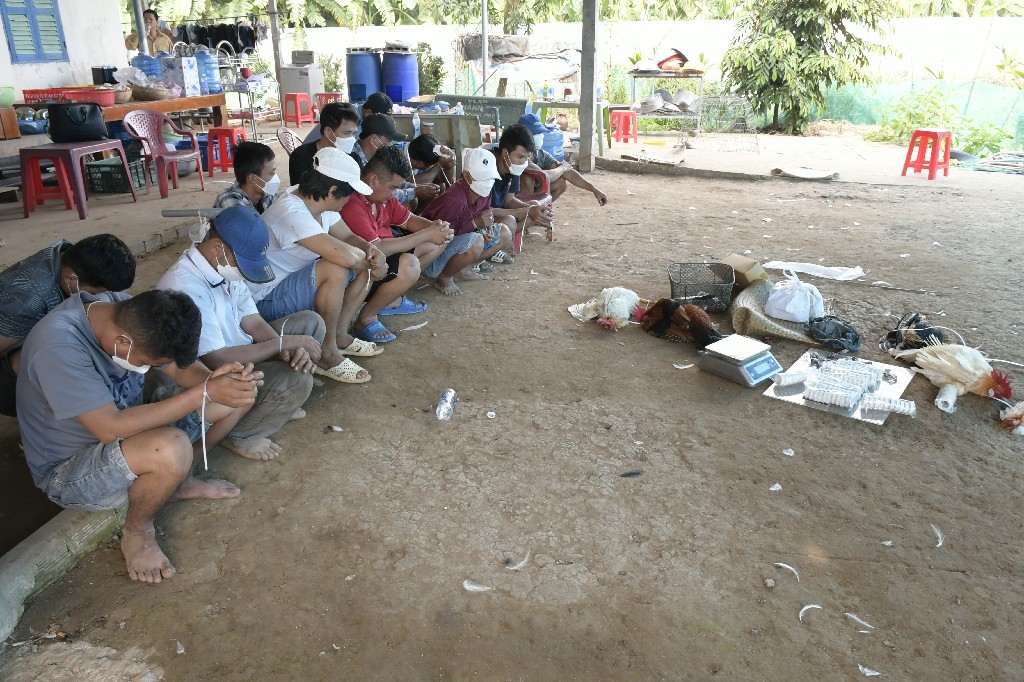 triet pha tu diem da ga an tien, bat giu nhieu doi tuong hinh anh 1