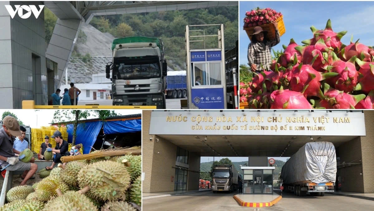 vietnam s 2024 foreign trade to hit close to us 800 billion picture 1 vietnam s 2024 foreign trade to hit close to us 800 billion picture 1