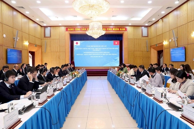 vietnam-japan joint initiative undergoes mid-term review picture 1