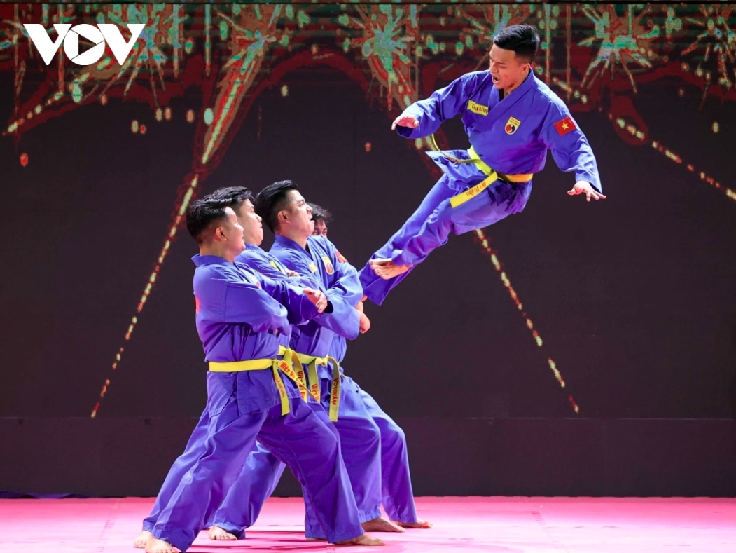 Ho Chi Minh City to host international martial arts festival