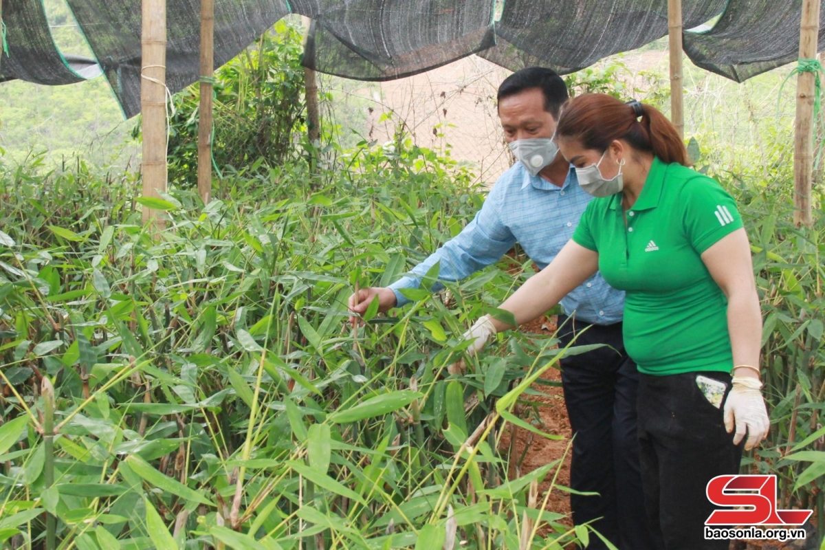 vai tro cua htx trong san xuat nong nghiep hinh anh 2