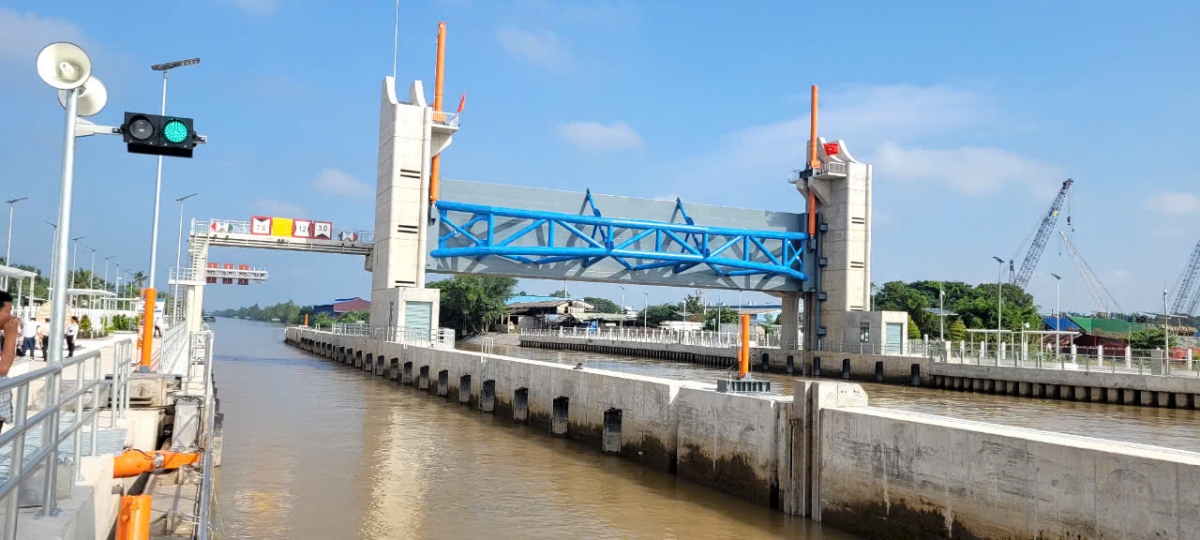 tiền giang chủ động phòng chống hạn mặn bảo vệ cây tỉ phú hình ảnh 4 tien giang chu dong phong chong han man bao ve cay ti phu hinh anh 4