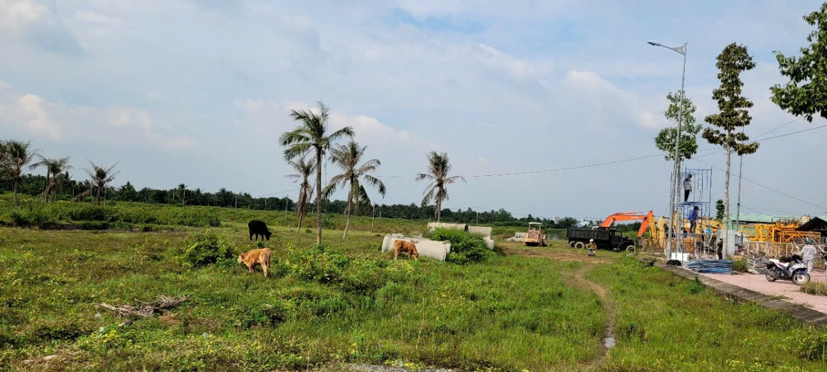 thanh tra chinh phu goi ten 53 Do an quy hoach, du an dau tu tai tien giang. hinh anh 2