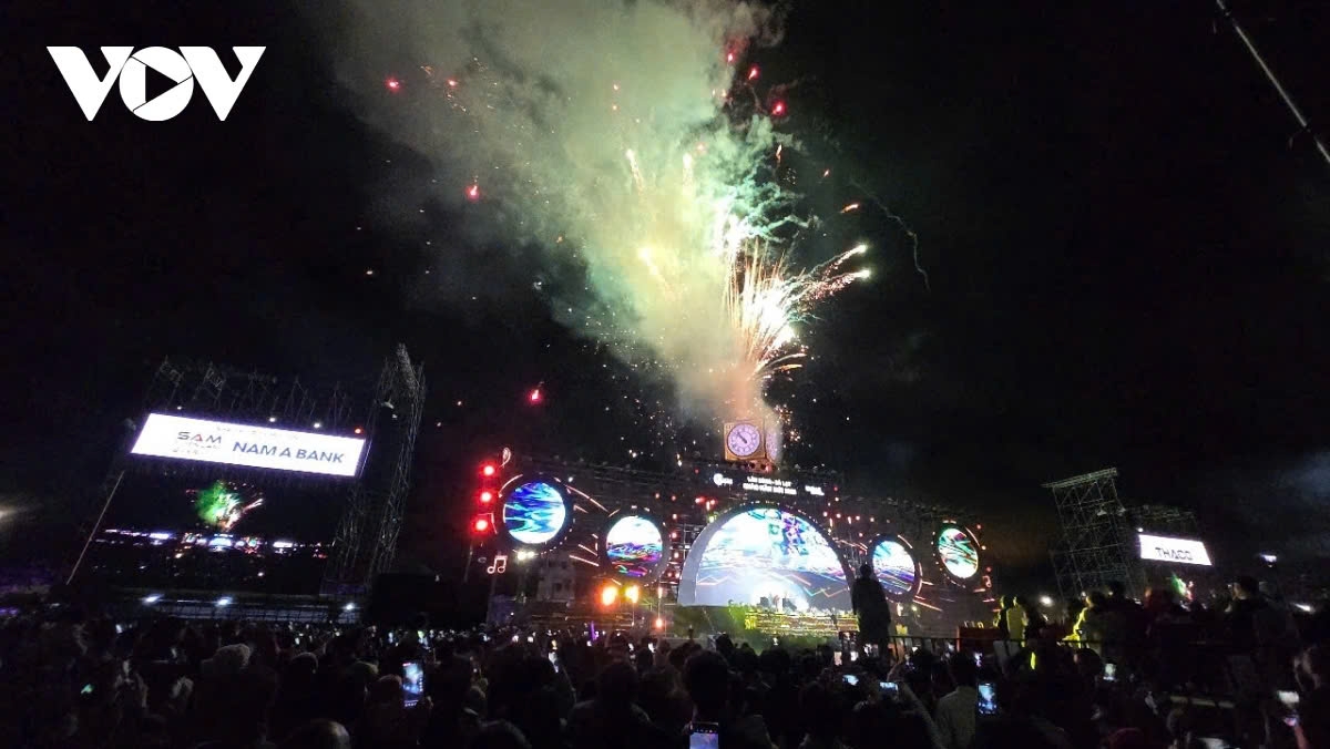 dazzling fireworks light up night skies as vietnam ushers in new year 2025 picture 10