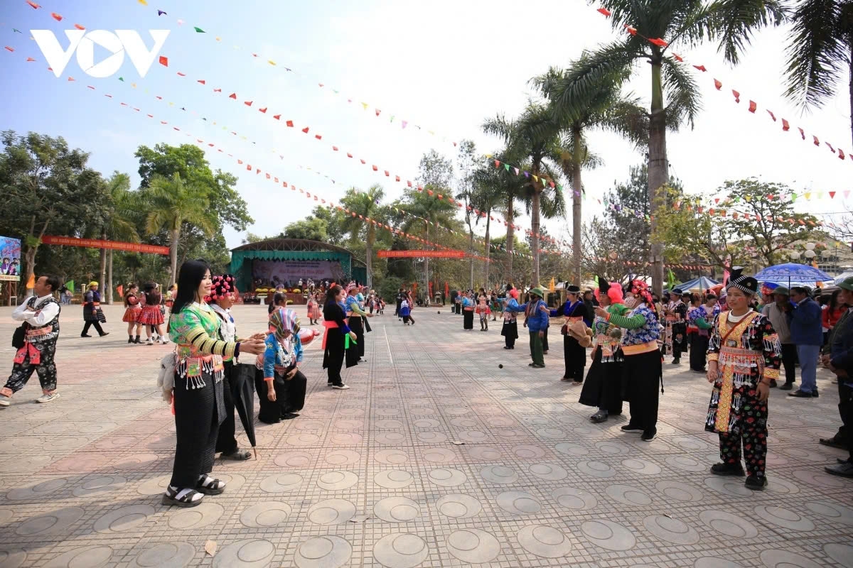 exciting spring bull fighting festival in northern vietnam picture 10 exciting spring bull fighting festival in northern vietnam picture 10