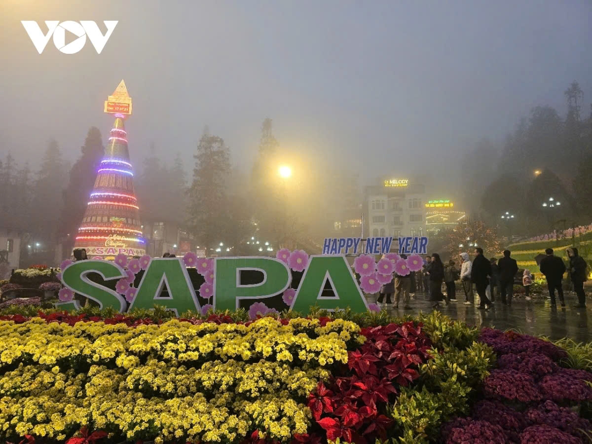 people across vietnam joyfully welcome the new year 2025 picture 12 people across vietnam joyfully welcome the new year 2025 picture 12