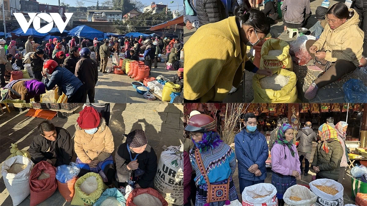 vibrant tet market of ethnic people on bac ha plateau in northern vietnam picture 13 vibrant tet market of ethnic people on bac ha plateau in northern vietnam picture 13