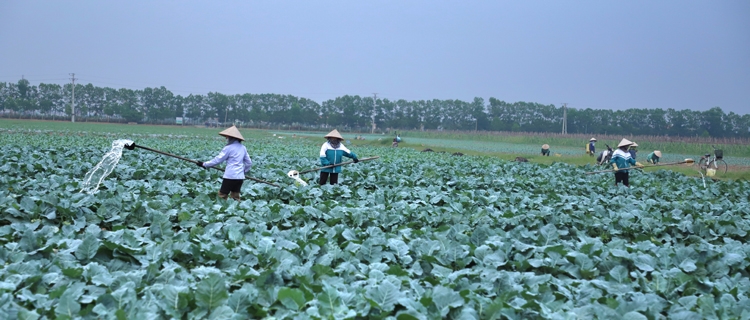 Để người nông dân trở thành doanh nhân