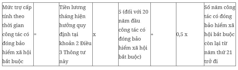 Da co thong tu huong dan che do voi voi lao dong thuc hien tinh gian hinh anh 5