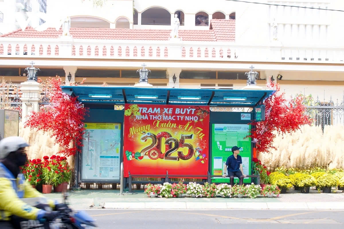 ho chi minh city overflows with spring colours picture 6 ho chi minh city overflows with spring colours picture 6