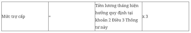 Da co thong tu huong dan che do voi voi lao dong thuc hien tinh gian hinh anh 7