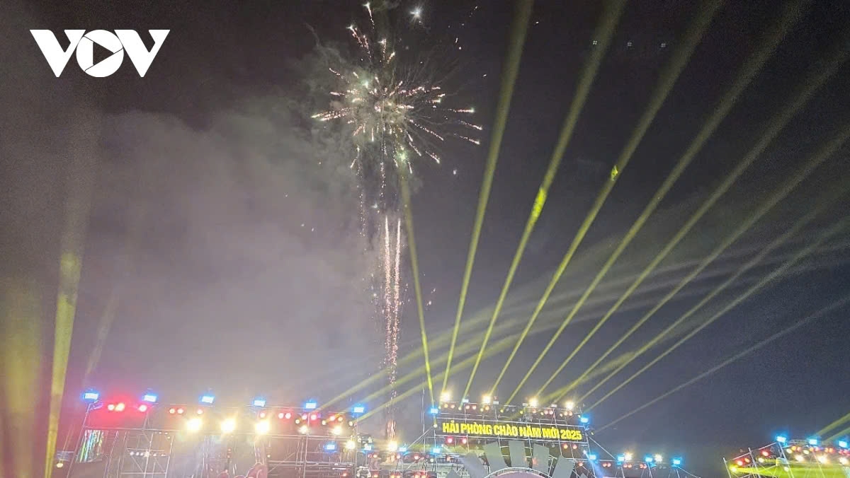 dazzling fireworks light up night skies as vietnam ushers in new year 2025 picture 8
