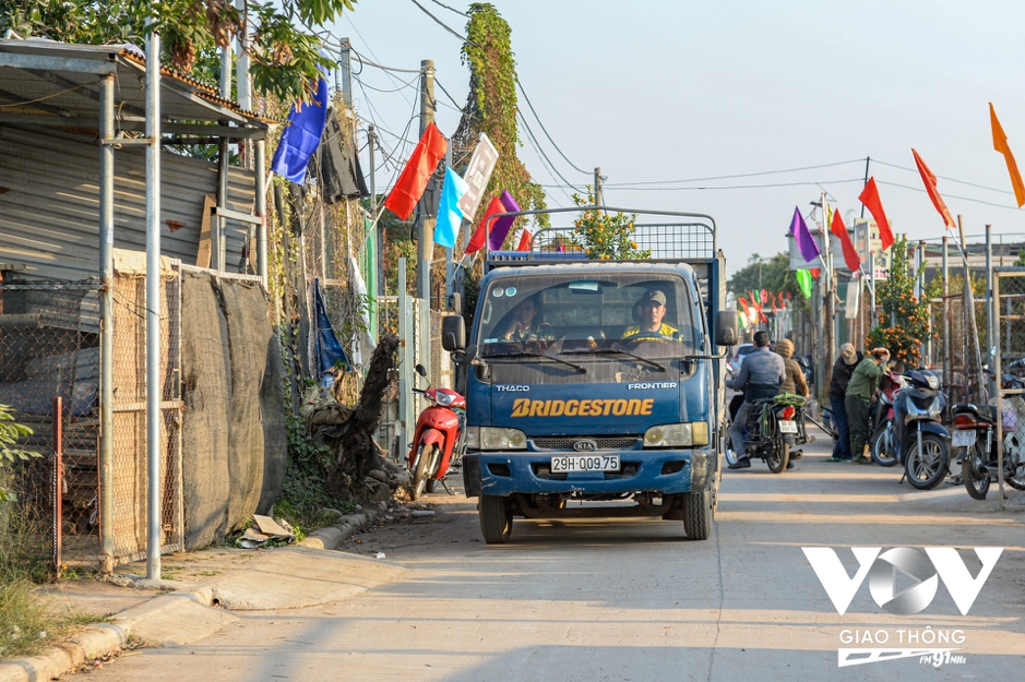 Dao nhat tan, quat tu lien vao vu tet hinh anh 9