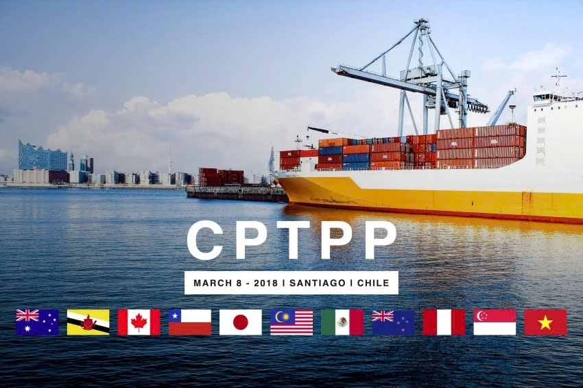 six years of cptpp enforcement opportunities for vietnamese exports picture 1