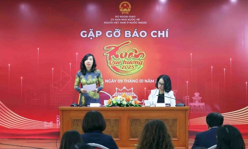 overseas vietnamese maintain contributions to their homeland deputy fm picture 1