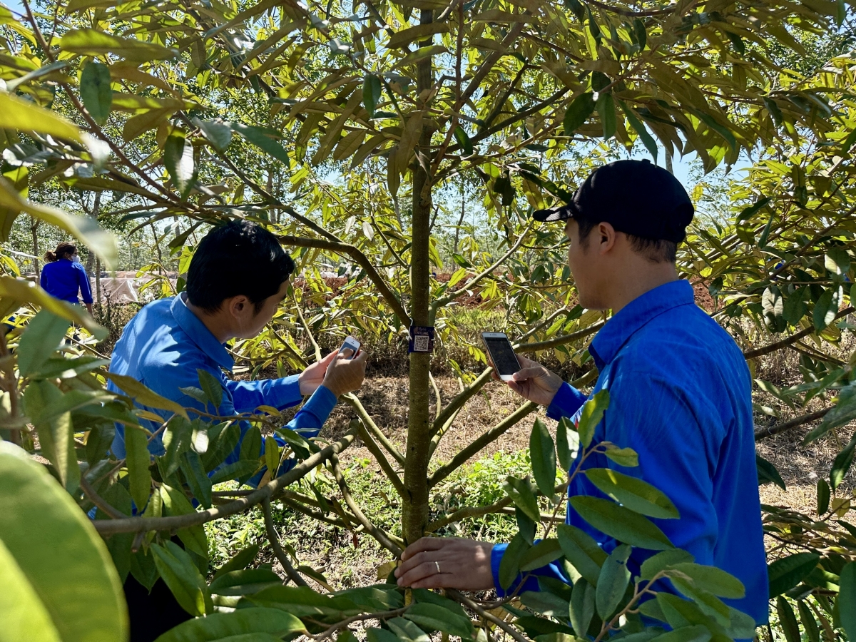 Đắk Lắk hiện đại hoá nông nghiệp từ chuyển đổi số và cải cách hành chính