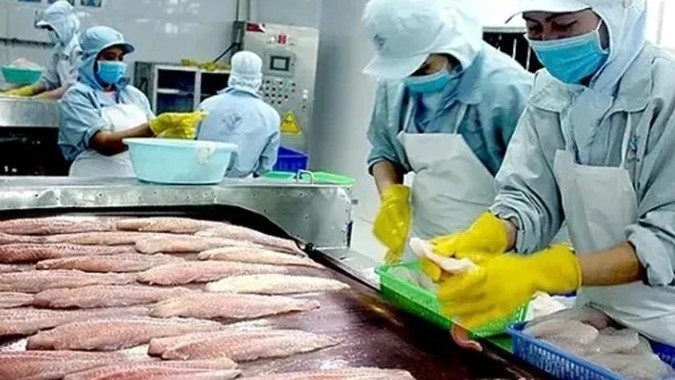 china retains top spot in vietnamese tra fish exports picture 1