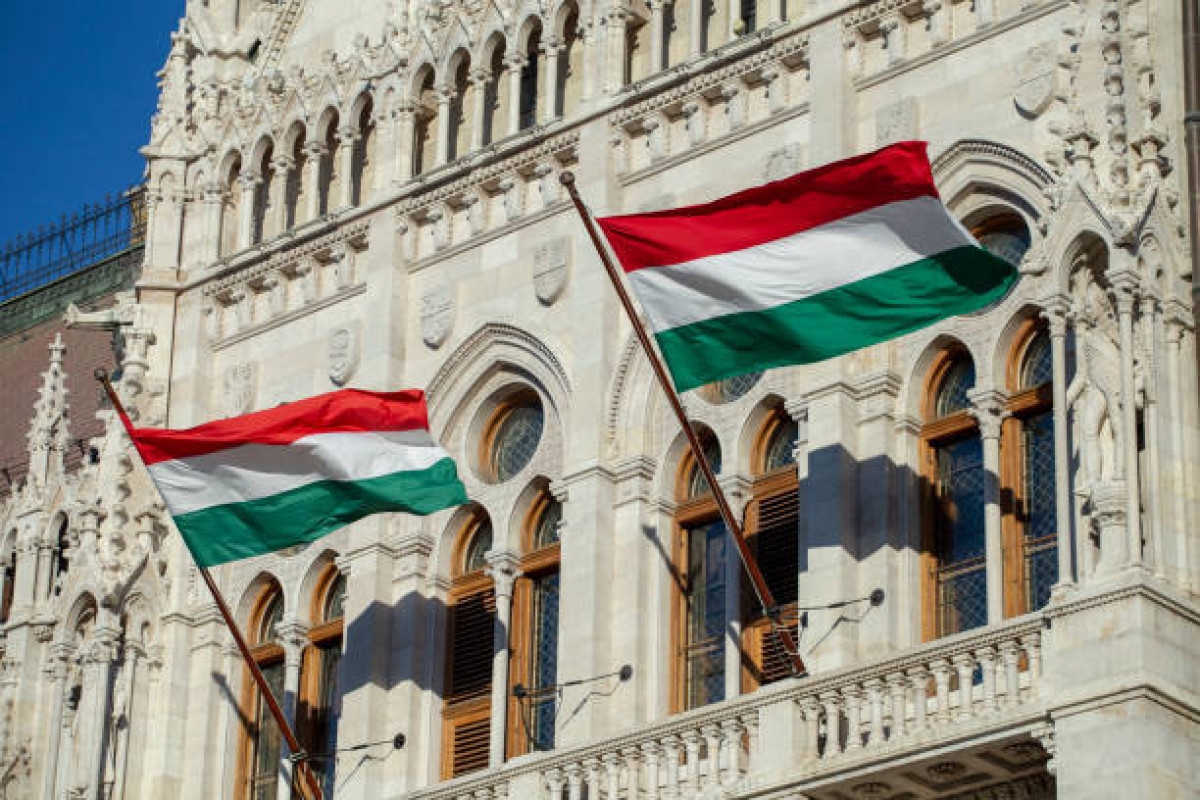 hungary se mo lai dai su quan tai syria hinh anh 1