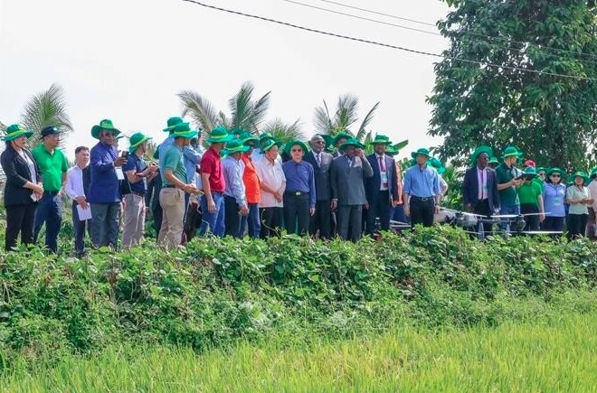 apf delegates explore green agriculture in can tho picture 1