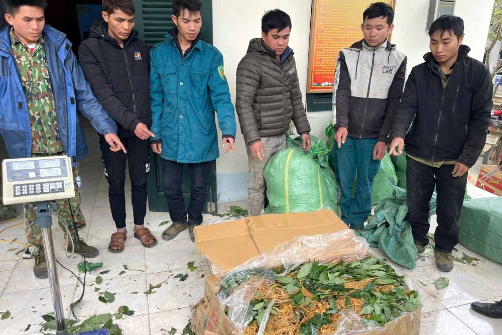bat giu nhom doi tuong van chuyen sam lau tu nuoc ngoai vao viet nam hinh anh 1 bat giu nhom doi tuong van chuyen sam lau tu nuoc ngoai vao viet nam hinh anh 1
