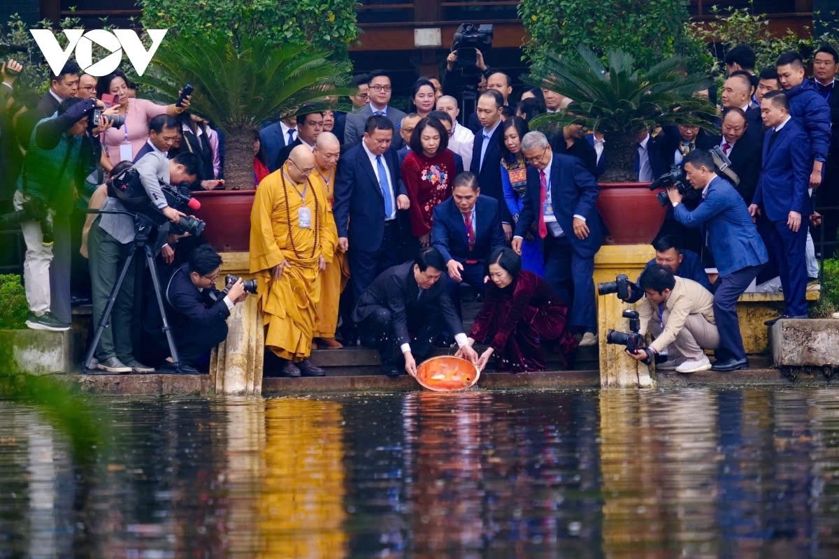 state president, overseas vietnamese join traditional carp release ritual picture 1