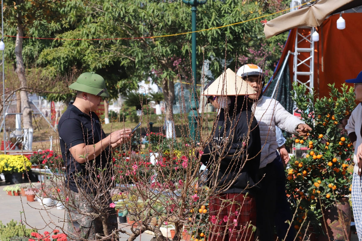 rực sắc chợ hoa xuân sơn la hình ảnh 2 ruc sac cho hoa xuan son la hinh anh 2