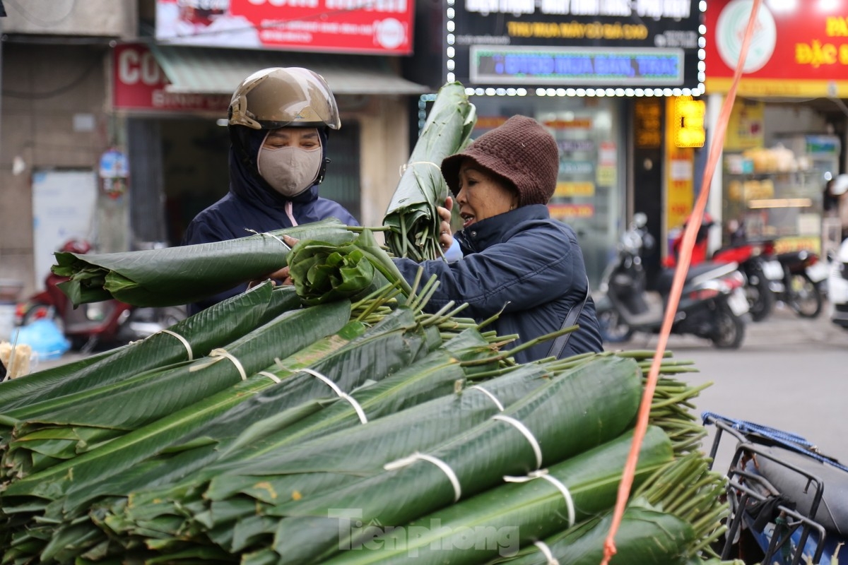 hanoi s dong leaf market bustling at lunar year s end picture 7