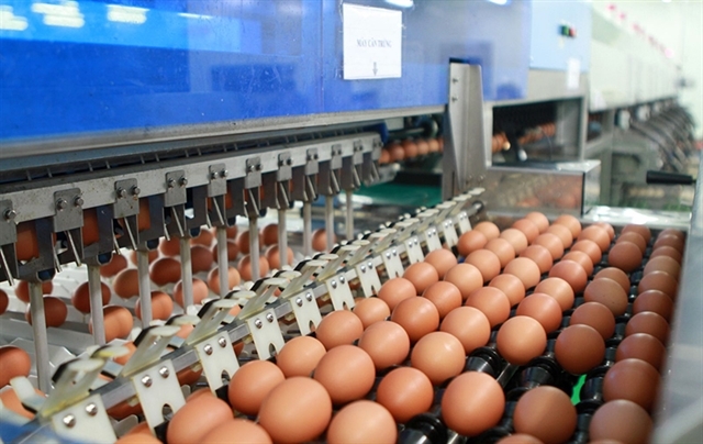 vietnam sets import tariff quotas for salt and poultry eggs in 2025 picture 1