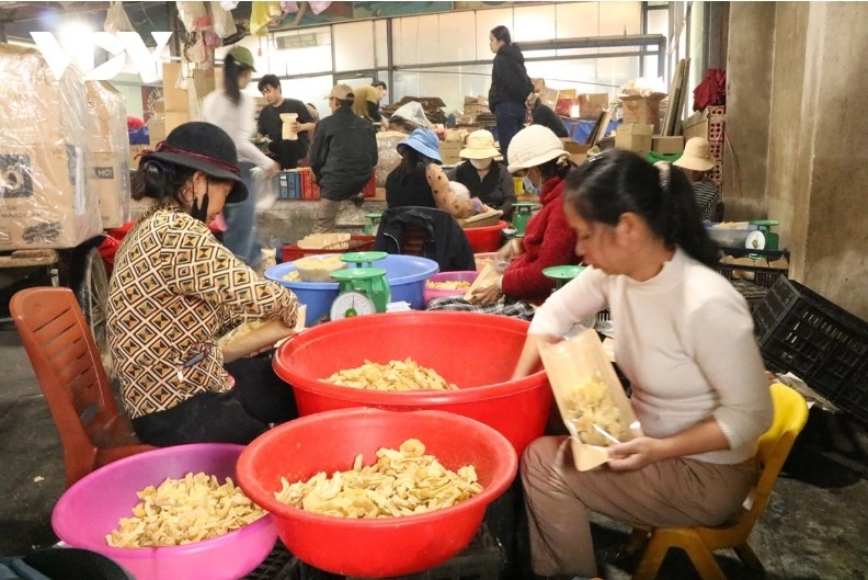 ginger jam village in central vietnam bustling in the buildup to tet picture 5