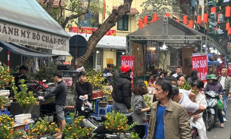 bustling hanoi streets gear up for tet holiday picture 2