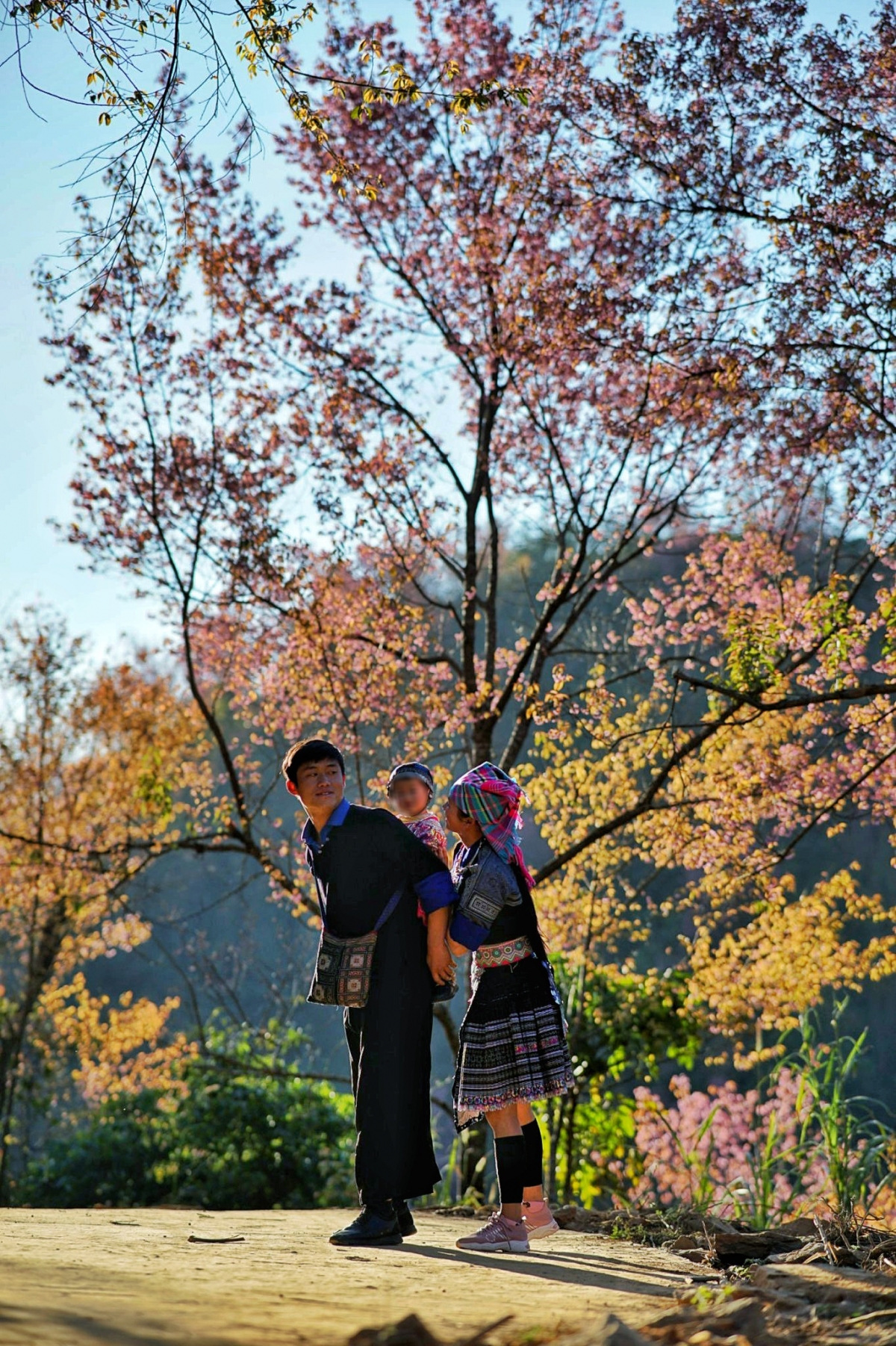 mua hoa to day nhuom hong ban lang mu cang chai hinh anh 7