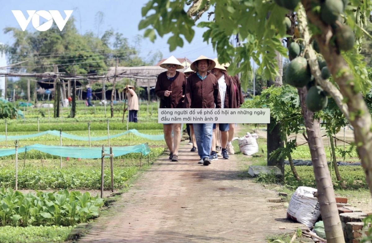 tourists flock to unesco heritage city hoi an during lunar new year holiday picture 9