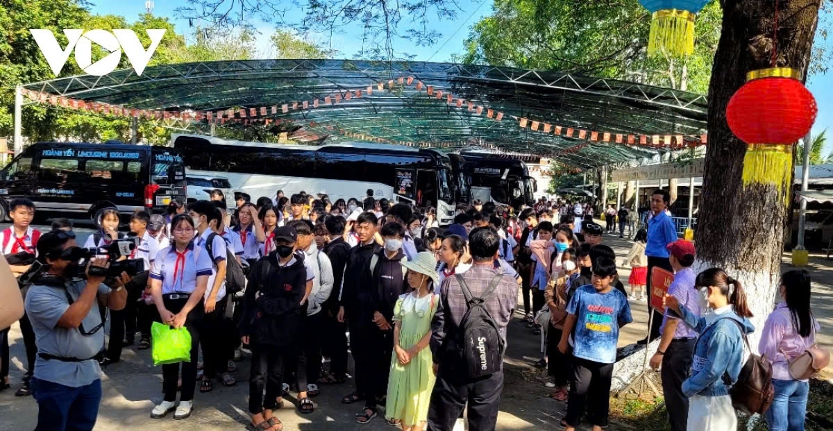 dong tam snake farm offers first-hand experience to visitors picture 1 dong tam snake farm offers first-hand experience to visitors picture 1