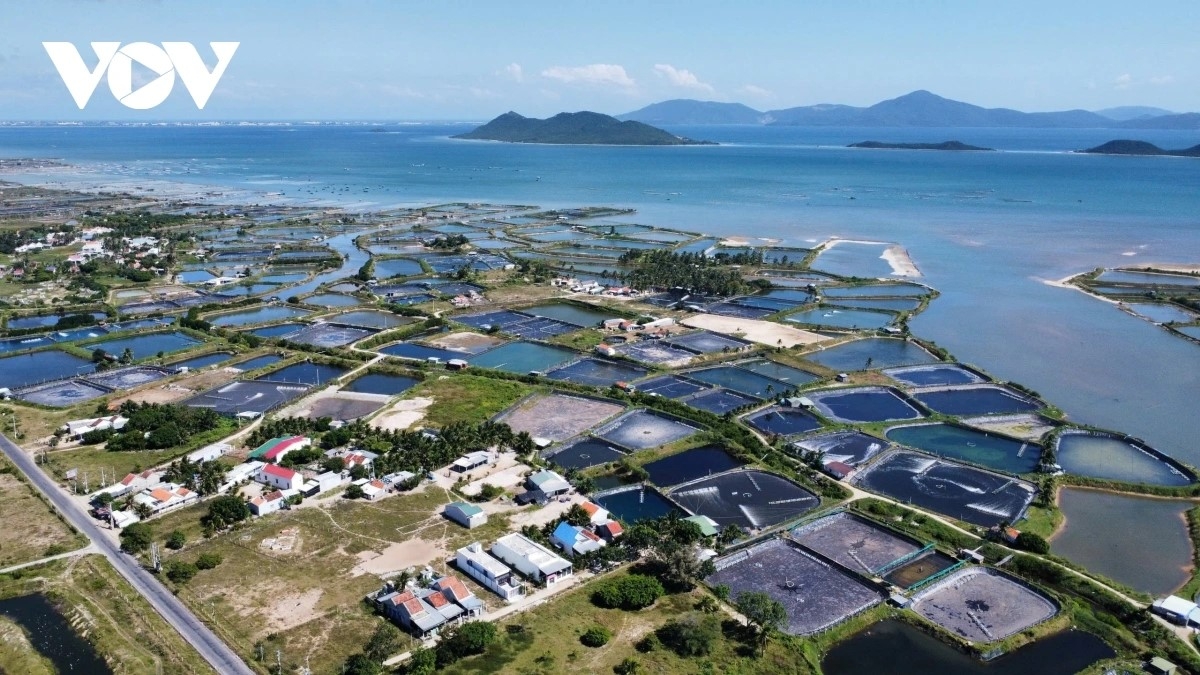 khanh hoa se co them cang hang khong thu 2 hinh anh 1