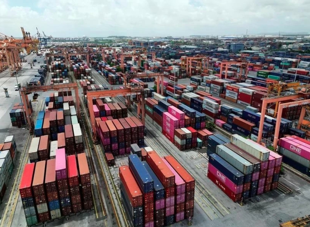 Logistics firms optimistic about growth prospects in 2025: Survey