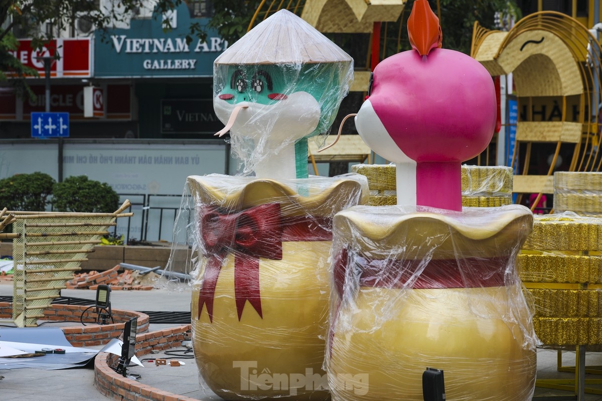 nguyen hue flower street given tet makeover picture 5