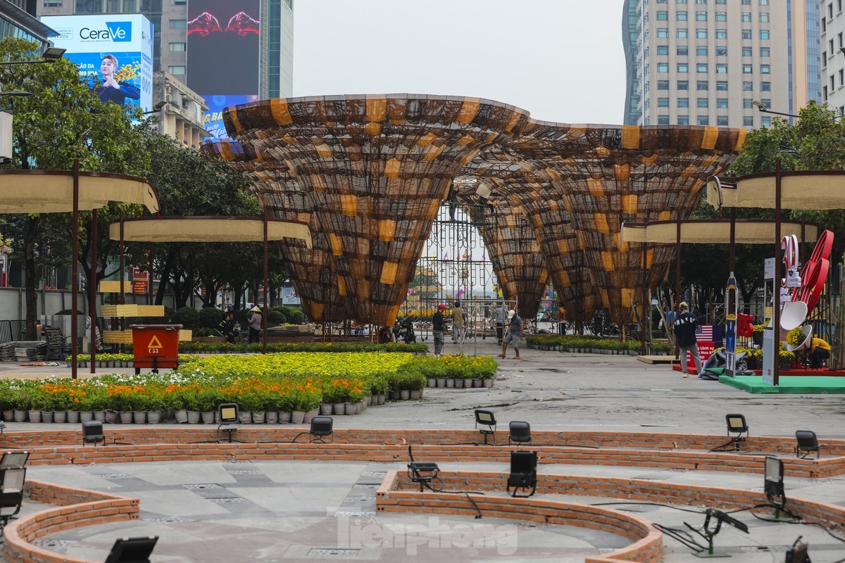 nguyen hue flower street given tet makeover picture 6