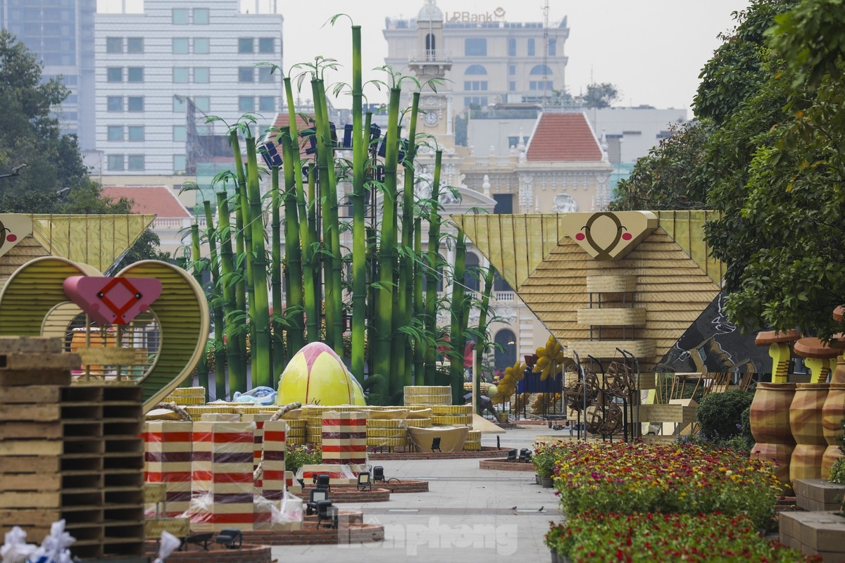 nguyen hue flower street given tet makeover picture 7