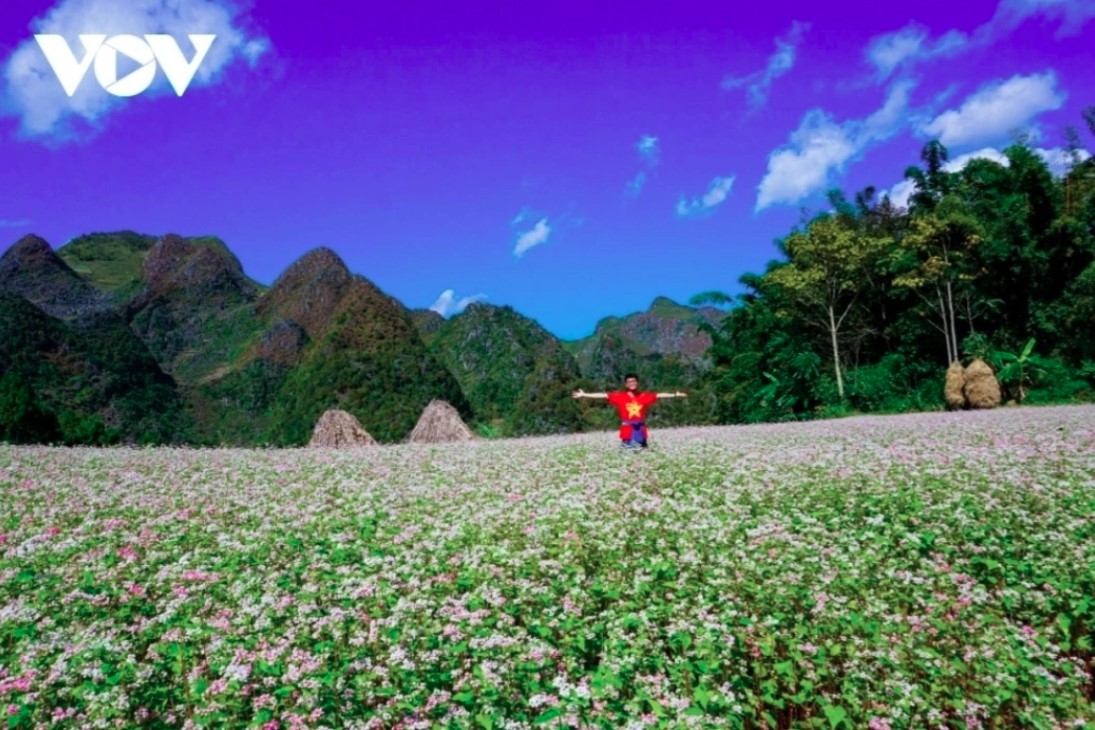 top places in northern vietnam for lunar new year celebration picture 5