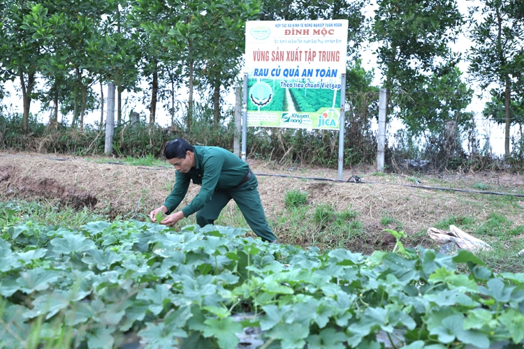 Để người nông dân trở thành doanh nhân hình ảnh 1 De nguoi nong dan tro thanh doanh nhan hinh anh 1