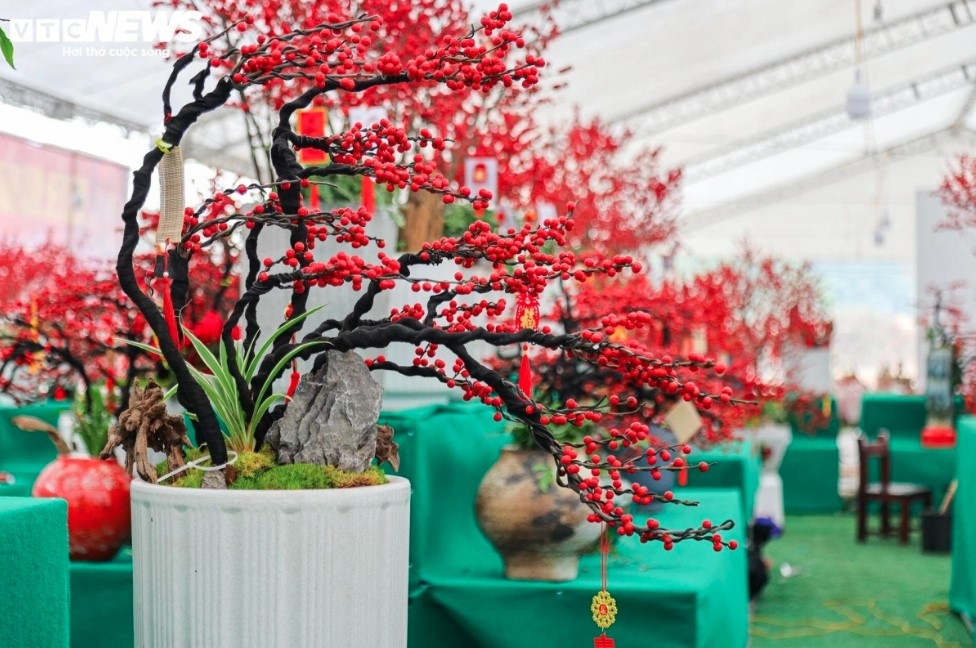 unique peach trees attract festive customers ahead of tet picture 2