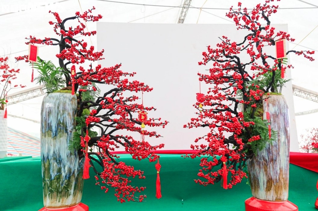 unique peach trees attract festive customers ahead of tet picture 3