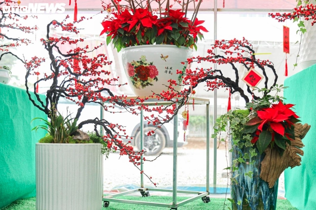 unique peach trees attract festive customers ahead of tet picture 5