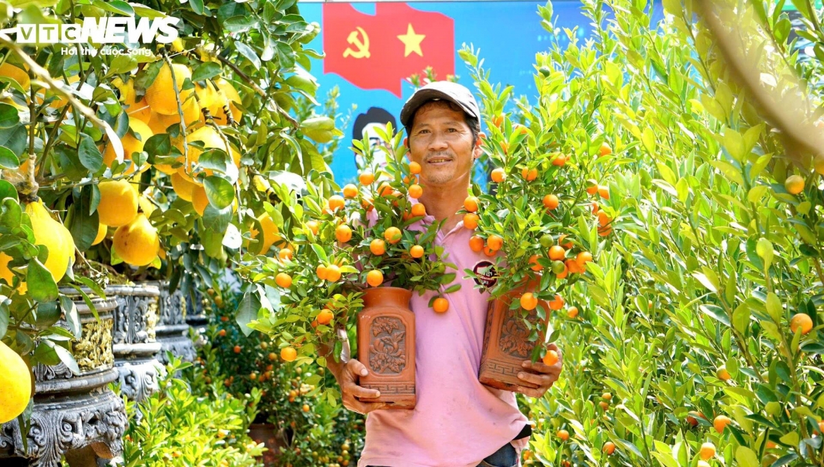 cay canh trung tet e khach khien nhieu nha vuon tp.hcm rau ri hinh anh 10