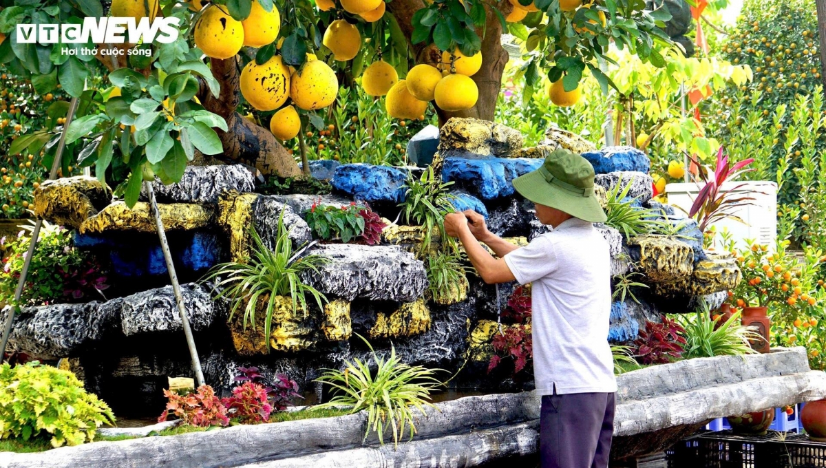 cay canh trung tet e khach khien nhieu nha vuon tp.hcm rau ri hinh anh 2