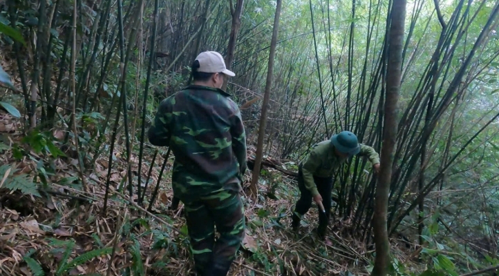 camera traps reveal rare animal species in nghe an primeval forest picture 8