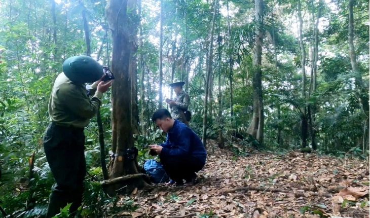 camera traps reveal rare animal species in nghe an primeval forest picture 9