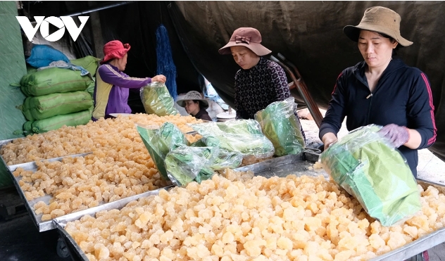 Rock sugar village in central Vietnam bustling in buildup to Tet