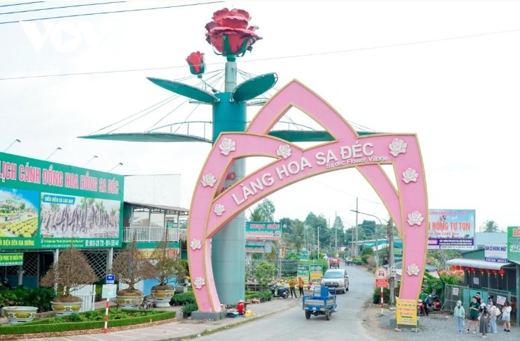 dazzling spring colours emerge in mekong delta flower city picture 1